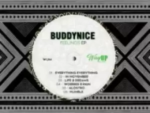 Buddynice - In December (Redemial Mix)
